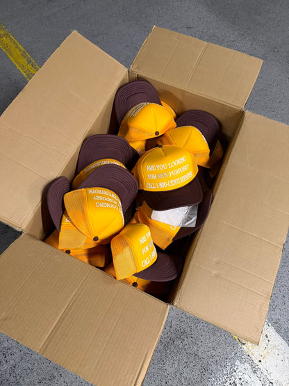 SUNSET NEW PURPOSE TRUCKER